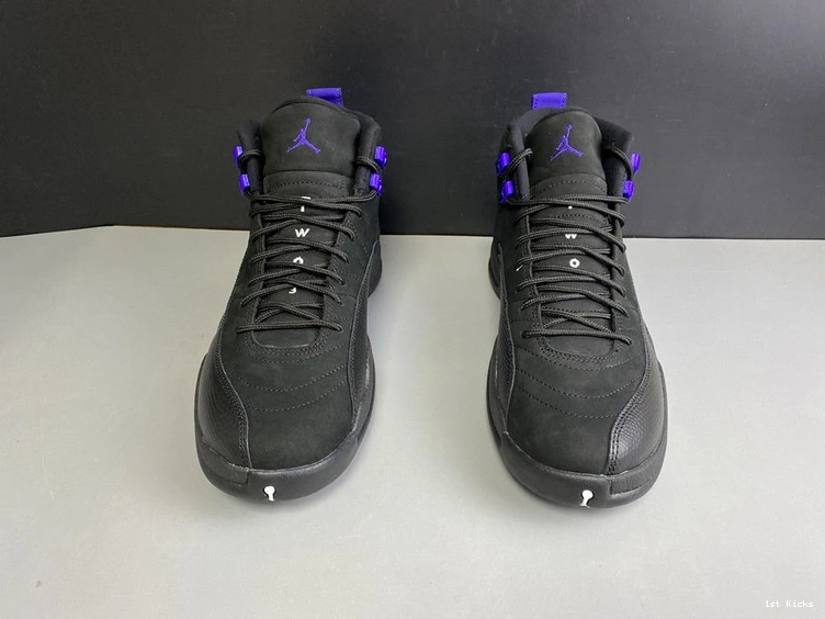 12 CT8013-005  Air Jordan Concord” “Dark 0208